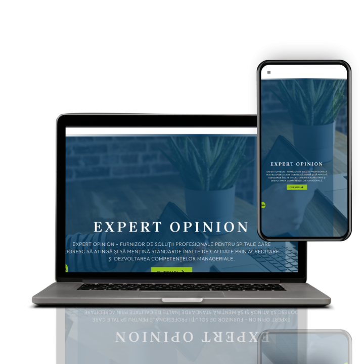 Expert Opinion